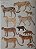 Handbook of the Mammals of the World - vol.1 Carnivores - USADO - Imagem 9