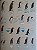 Illustrated Checklist of the Birds of the World Vol.1 Non-Passerines - USADO - Imagem 7