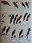 Illustrated Checklist of the Birds of the World Vol.1 Non-Passerines - USADO - Imagem 9
