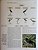 Handbook of the Birds of the World Vol.1 Ostrich to Ducks - USADO - Imagem 10
