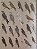 Handbook of the Birds of the World Vol.2 New World Vultures to Guineafowl - USADO - Imagem 8