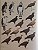 Handbook of the Birds of the World Vol.2 New World Vultures to Guineafowl - USADO - Imagem 9