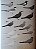 Handbook of the Birds of the World Vol.3 Hoatzin to Auks - USADO - Imagem 3