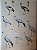 Handbook of the Birds of the World Vol.3 Hoatzin to Auks - USADO - Imagem 6