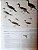 Handbook of the Birds of the World Vol.3 Hoatzin to Auks - USADO - Imagem 9