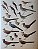 Handbook of the Birds of the World Vol.4 Sandgouse to Cuckoos - USADO - Imagem 4