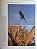 Handbook of the Birds of the World Vol.4 Sandgouse to Cuckoos - USADO - Imagem 8