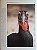 Handbook of the Birds of the World Vol.6 Mousebirds to Hornbills - USADO - Imagem 9