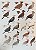 Handbook of the Birds of the World Vol.7 Jacamars to Woodpeckers - USADO - Imagem 6