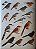 Handbook of the Birds of the World Vol.8 Broadbills to Tapaculos - USADO - Imagem 6