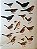 Handbook of the Birds of the World Vol.8 Broadbills to Tapaculos - USADO - Imagem 7