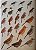 Handbook of the Birds of the World Vol.8 Broadbills to Tapaculos - USADO - Imagem 8