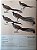 Handbook of the Birds of the World Vol.9 Cotingas to Pipits and Wagtails - USADO - Imagem 5