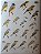 Handbook of the Birds of the World Vol.9 Cotingas to Pipits and Wagtails - USADO - Imagem 8