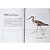 Aves Migratórias no Brasil - capa escura - Imagem 6
