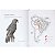 Aves Migratórias no Brasil - capa escura - Imagem 9