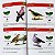 Aves de Botucatu, guia de identificação - Imagem 4