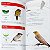 Aves de Botucatu, guia de identificação - Imagem 6