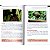 Guia de campo aves da Costa da Mata Atlântica / Field guide birds of the Atlantic Forest Coast - Imagem 3