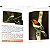 Guia de campo aves da Costa da Mata Atlântica / Field guide birds of the Atlantic Forest Coast - Imagem 7