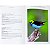 Saíras do Brasil / Tanagers of Brazil - Imagem 8