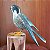 Falcão-peregrino - Miniatura madeira Valdeir José - Imagem 3