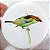 Saíra-sapucaia - ímã metálico coleção arte naturalista - Imagem 1