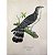Gavião-gato - pôster coleção arte naturalista - Imagem 1