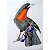 Pavó - pôster coleção arte naturalista - Imagem 1