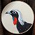 Jacutinga - Pintura em Bastidor - Bordando Aves - Imagem 1