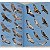 Aves do Paraná - Guia de Identificação - Imagem 7