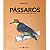 Pássaros e outras aves da cidade de São Paulo - Imagem 1