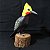 Pica-pau-de-cabeça-amarela - Miniatura madeira Valdeir José - Imagem 1