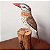 Rapazinho-dos-velhos - Miniatura madeira Valdeir José - Imagem 3