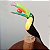 Tucano-de-peito-amarelo - Miniatura madeira Valdeir José - Imagem 2