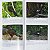 Guia Fotográfico Aves do Pantanal - Imagem 3
