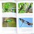 Guia Fotográfico Aves do Pantanal - Imagem 5