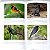 Guia Fotográfico Aves do Pantanal - Imagem 7