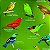 Saíras, tiês, sanhaços, gaturamos e tangarás - pôster Anolis Books - Imagem 2