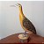 Perdiz - Miniatura madeira Valdeir José - Imagem 2