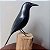 Pássaro-preto - Miniatura madeira Valdeir José - Imagem 1
