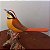 Meia-lua-do-cerrado - Miniatura madeira Valdeir José - Imagem 2