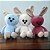Coelhos - Imagem 1