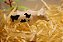 Kit Sensorial Animais da Fazenda - Imagem 3