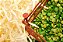 Kit Sensorial Animais da Fazenda - Imagem 6