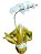 Orquídea Branca - Imagem 1