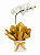 Orquídea Branca - Imagem 1