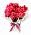 Linda Begônia cor de rosa mesclada - Imagem 1