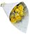 Cone de Rosas Amarelas - Imagem 1