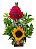 Duo Encanto - Imagem 1